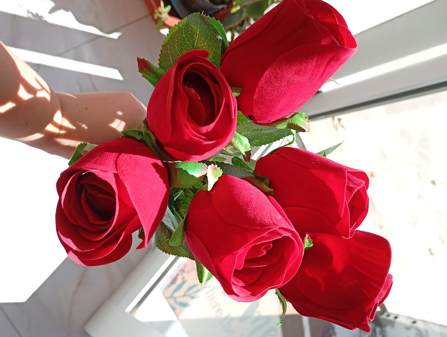 Rosas rojas