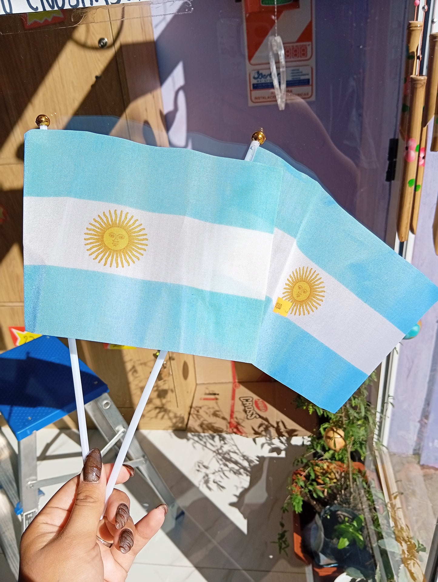 Banderitas Argentina