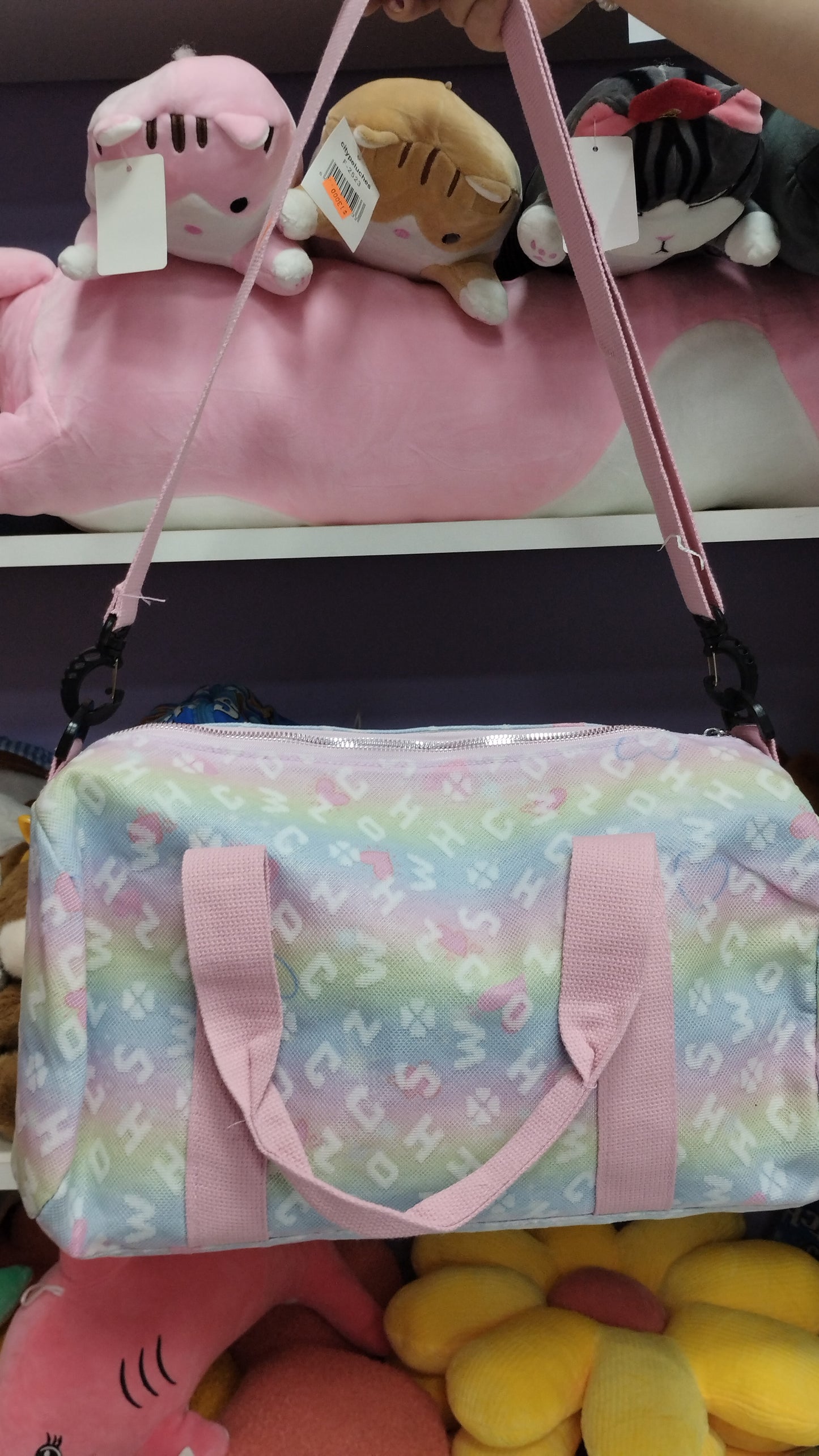 Bolso de viaje