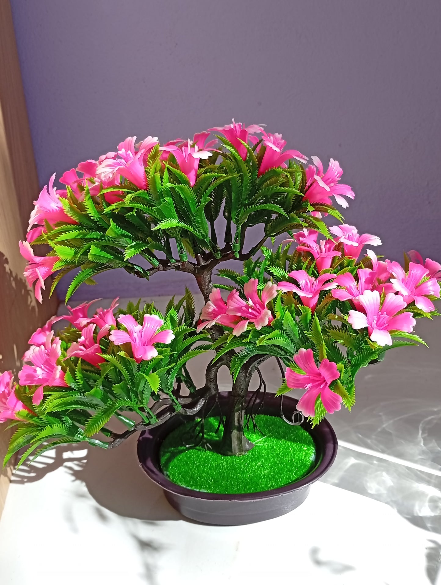 Arbol bonsái