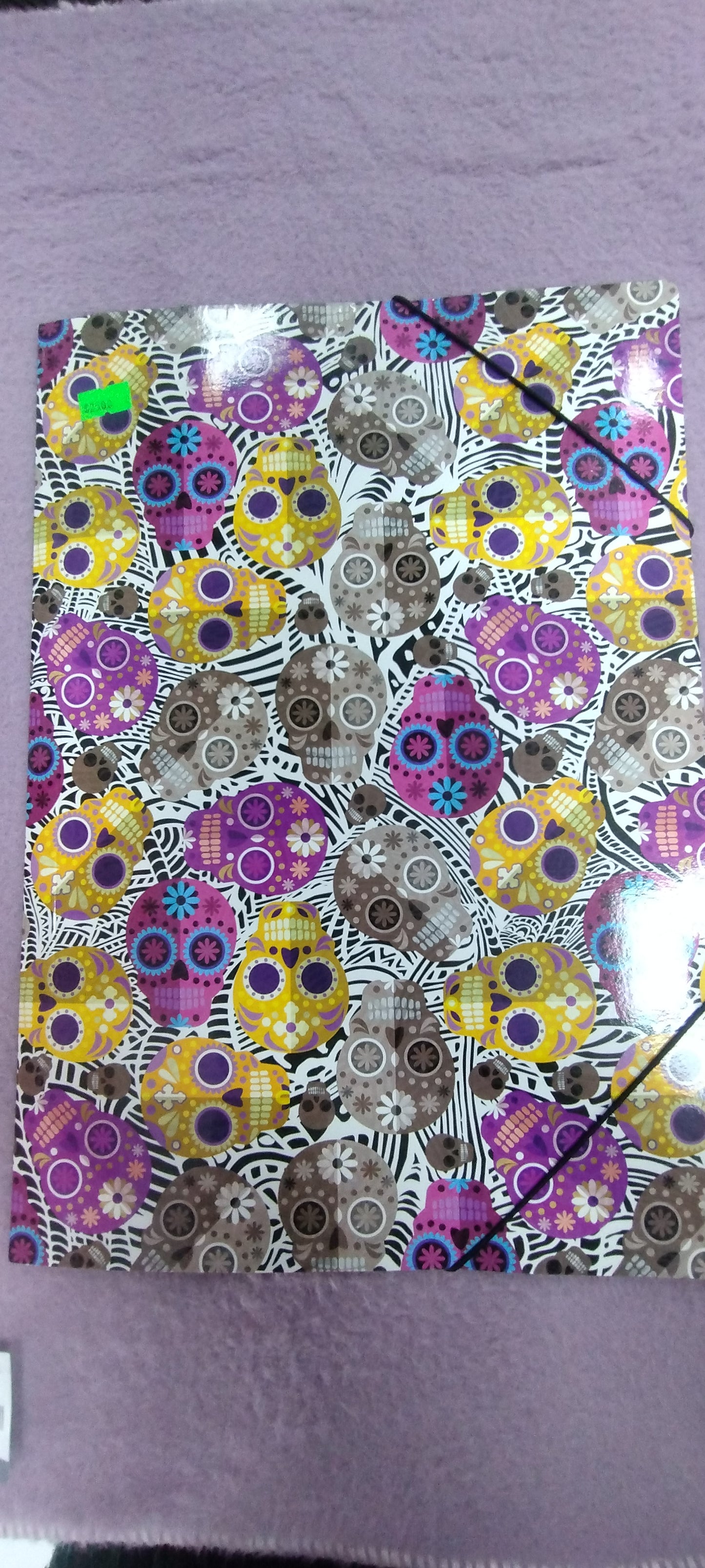 Carpeta de dibujo
