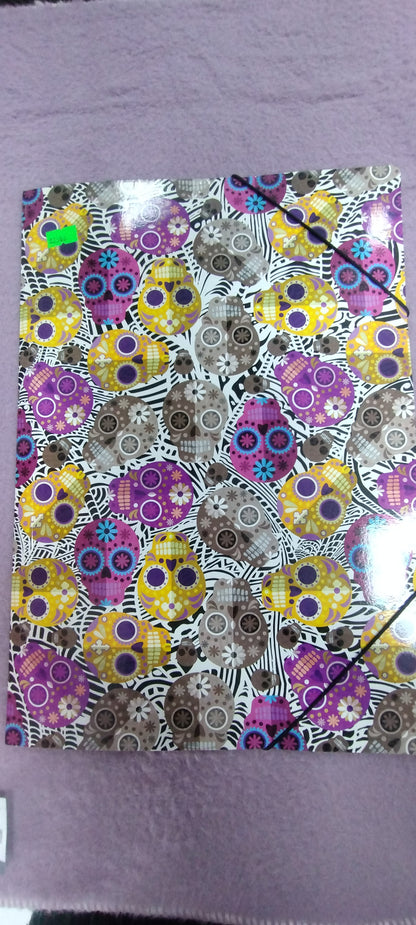 Carpeta de dibujo