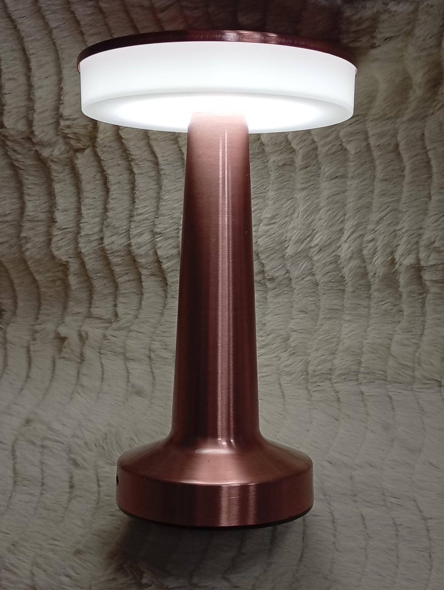 Lámpara de luz