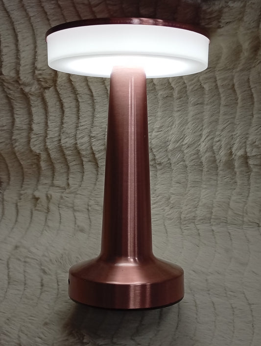 Lámpara de luz