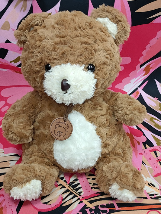 Peluche oso belong to you